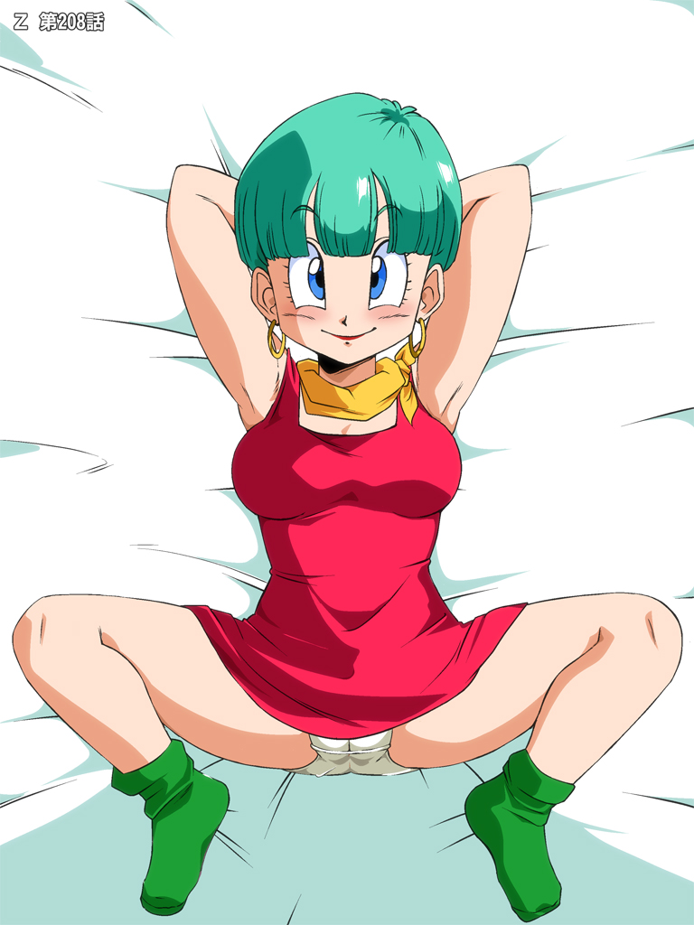 Rule34 – If it exists, there is porn of it / bulma briefs / 524306