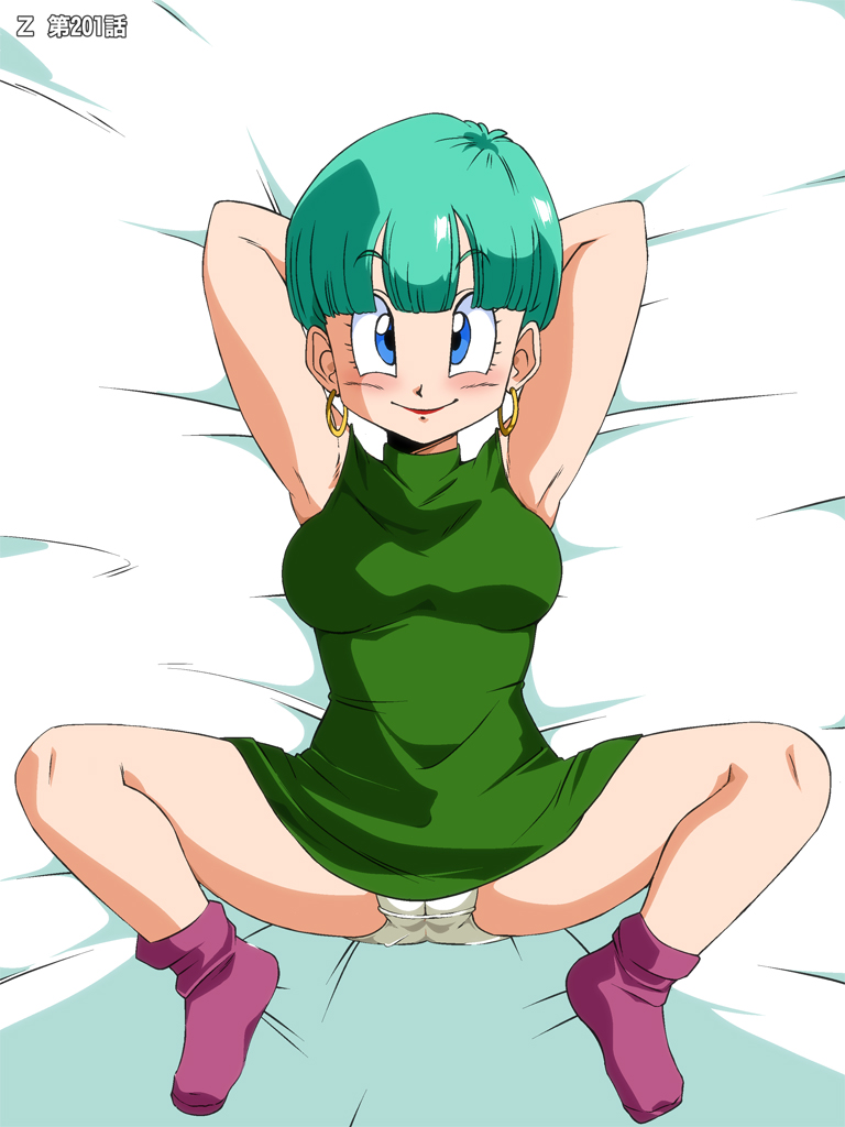 Rule34 – If it exists, there is porn of it / bulma briefs / 524334