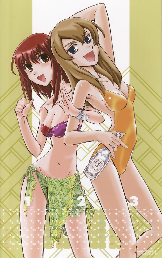 kazama ritsu, kurusuno konatsu, soukou akki muramasa, jpeg artifacts, 2girls, arm up, armpits, bikini, blue eyes, bottle, bracelet, breasts, brown eyes, brown hair, calendar, cleavage, february, january, jewelry, locked arms, march, medium breasts, multiple girls, one-piece swimsuit, red hair, sarong, short hair, strapless, swimsuit, tube top