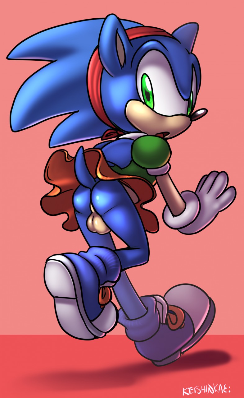 Rule34 – If it exists, there is porn of it / keishinkae, sonic the hedgehog / 524721