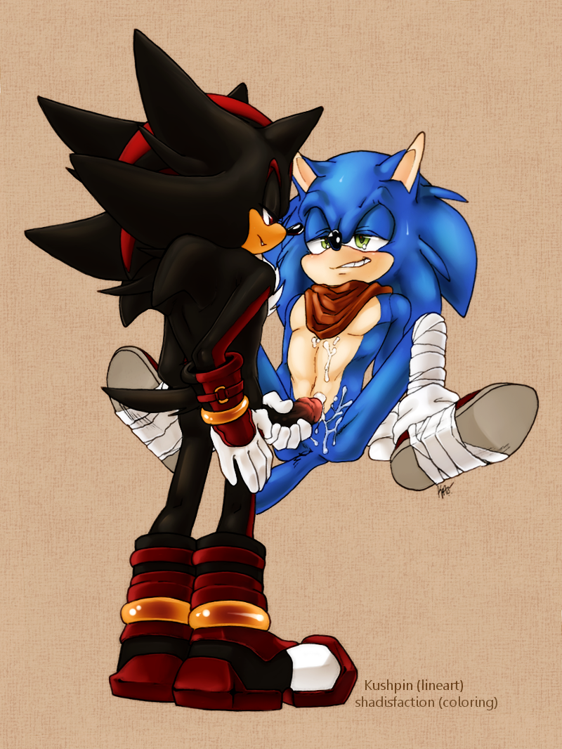 Rule34 – If it exists, there is porn of it / shadow the hedgehog, sonic the hedgehog / 524791