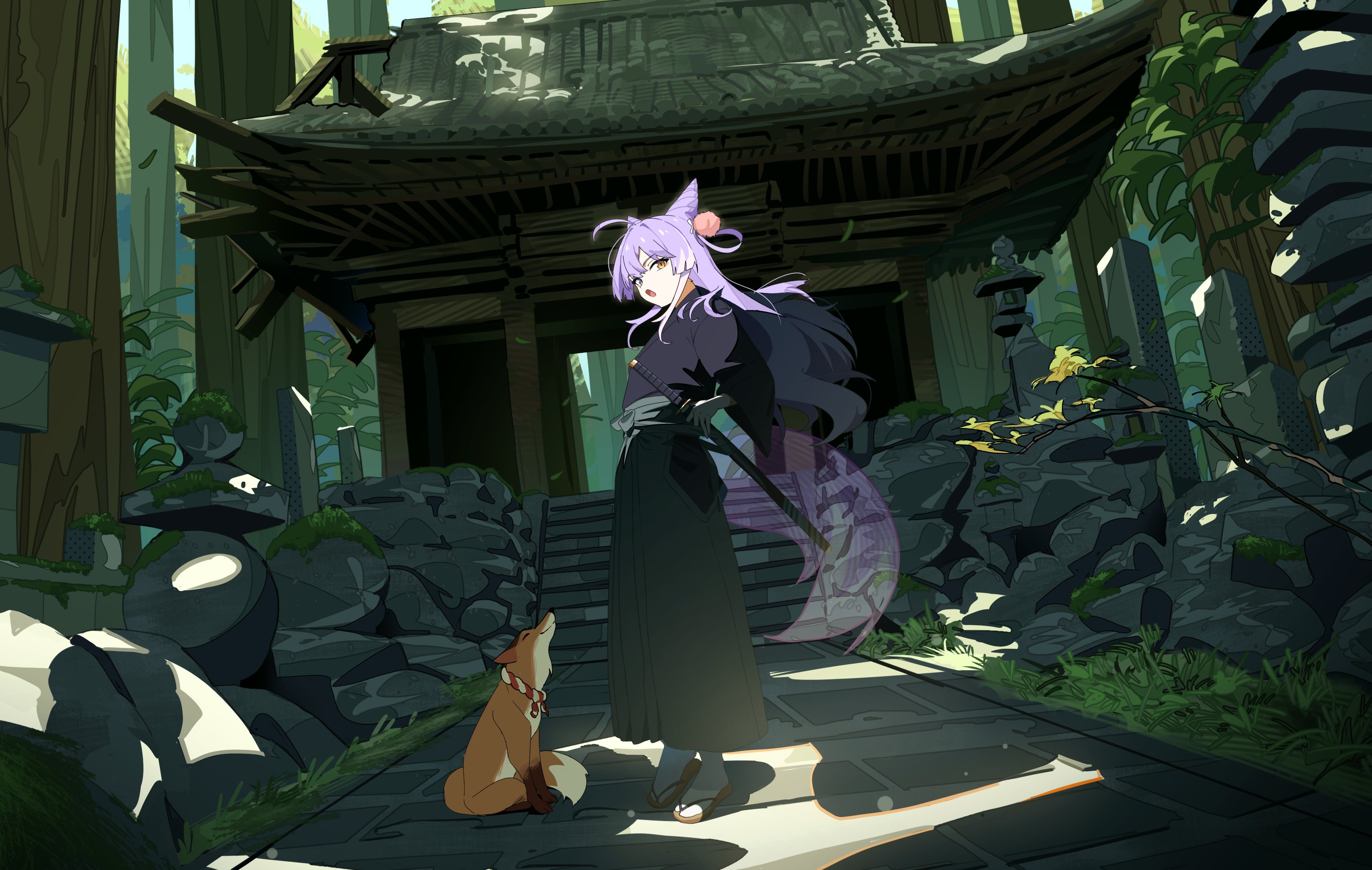 tenko shibuki, stellive, commentary request, highres, 1girl, architecture, black hakama, blue eyes, east asian architecture, fox, fox girl, fox tail, hakama, hakama skirt, heterochromia, holding, holding sword, holding weapon, japanese clothes, katana, long hair, long sidelocks, nachyomumei, outdoors, purple hair, rope, sandals, shimenawa, sidelocks, skirt, solo, stairs, sword, tabi, tail, weapon, yellow eyes, zouri