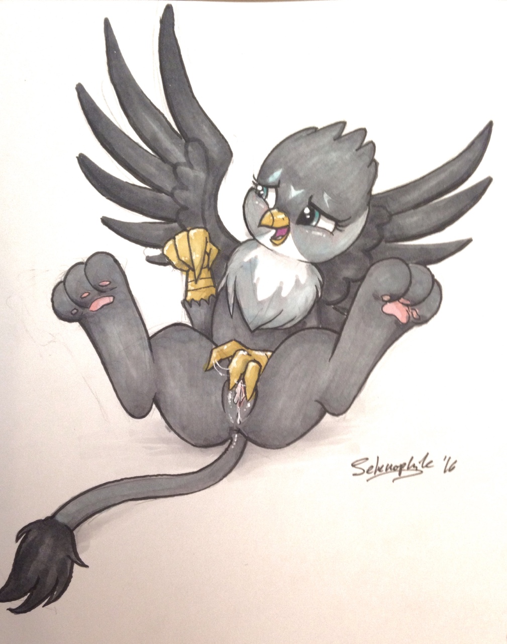 Rule34 – If it exists, there is porn of it / selenophile, gabby (mlp) / 526931