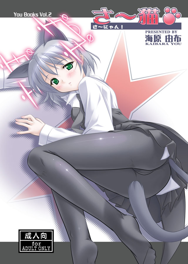 kaibara yuu, sanya v. litvyak, strike witches, world witches series, silver hair, 00s, 1girl, animal ears, ass, black pantyhose, blush, cat ears, cat tail, crotch seam, feet, female focus, green eyes, hirschgeweih antennas, legs, lying, pantyhose, solo, tail