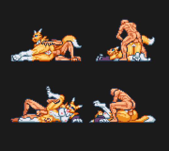 Rule34 – If it exists, there is porn of it / renamon / 10276898