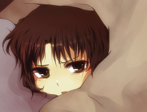 shirotsume kusa, shirotsume kusa (sayern), ryougi shiki, kara no kyoukai, bad id, bad pixiv id, lowres, 1girl, black hair, blanket, brown eyes, brown hair, female focus, short hair, solo