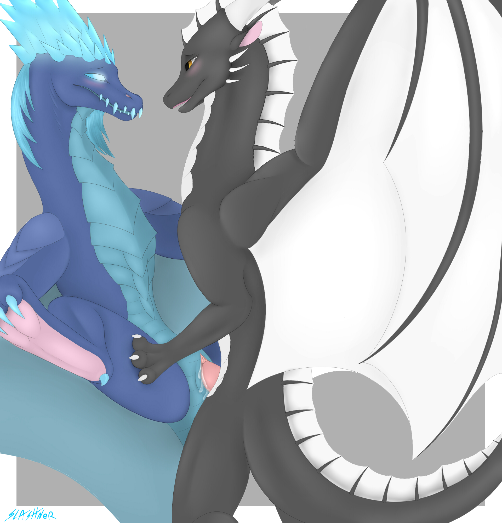 Rule34 – If it exists, there is porn of it / auroth the winter wyvern / 532542