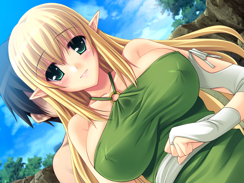 team-tanabe, tiffania westwood, zero no tsukaima, game cg, 00s, 1boy, 1girl, blonde hair, blush, breasts, bridal gauntlets, elf, green eyes, huge breasts, long hair, pointy ears, sky