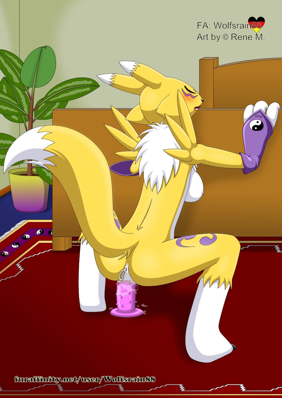 Rule34 – If it exists, there is porn of it / wolfsrain88, renamon / 534461