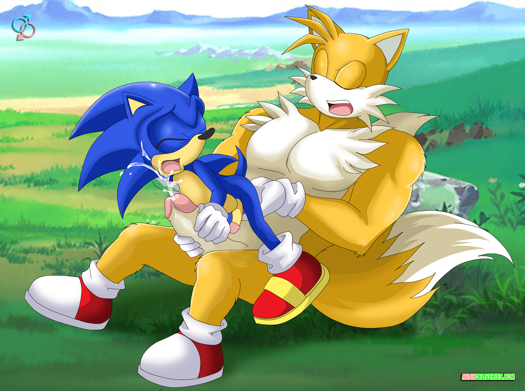 Rule34 – If it exists, there is porn of it / rear deliveries, sonic the hedgehog, tails / 536486