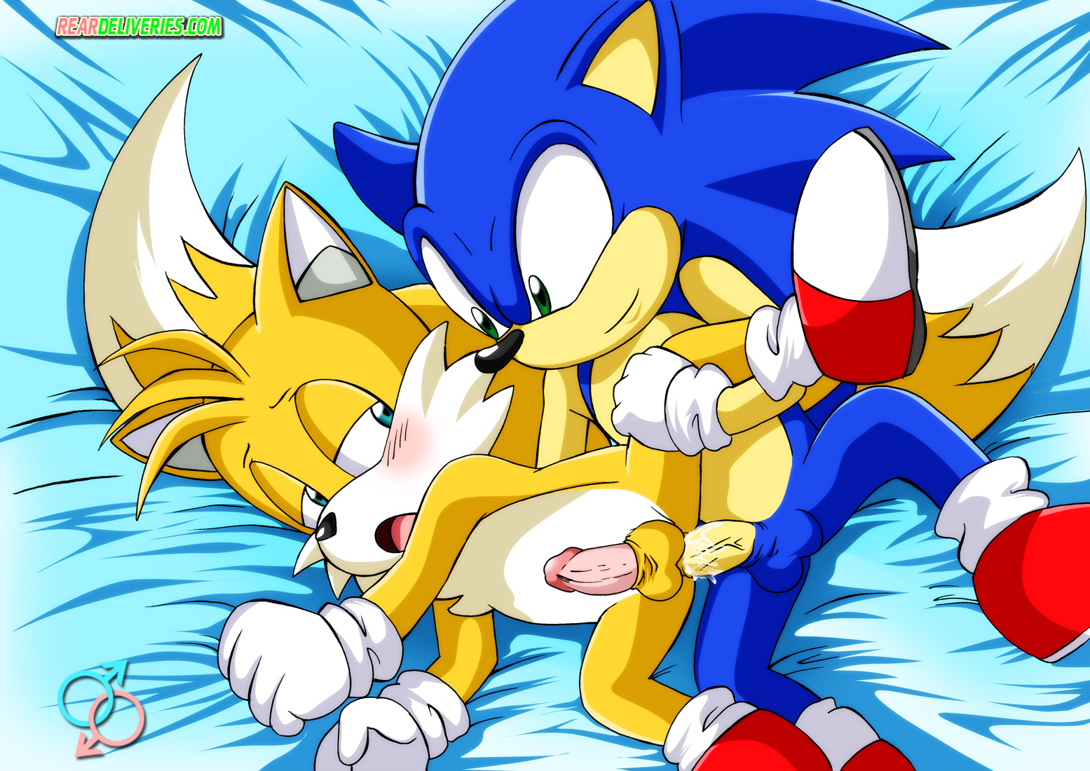 Rule34 – If it exists, there is porn of it / rear deliveries, sonic the hedgehog, tails / 536496