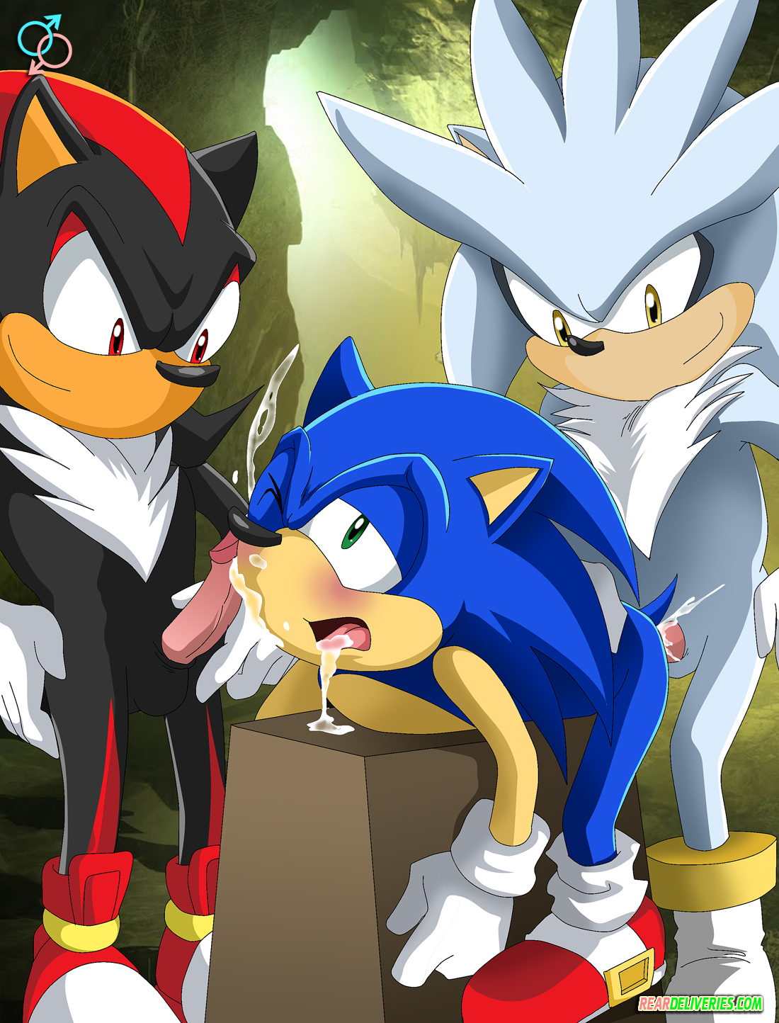 Rule34 – If it exists, there is porn of it / rear deliveries, shadow the hedgehog, silver the hedgehog, sonic the hedgehog / 536515