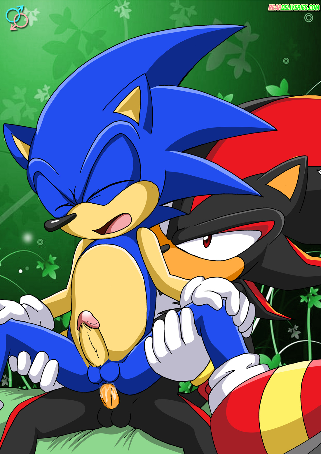 Rule34 – If it exists, there is porn of it / bbmbbf, palcomix, rear deliveries, shadow the hedgehog, sonic the hedgehog / 536548