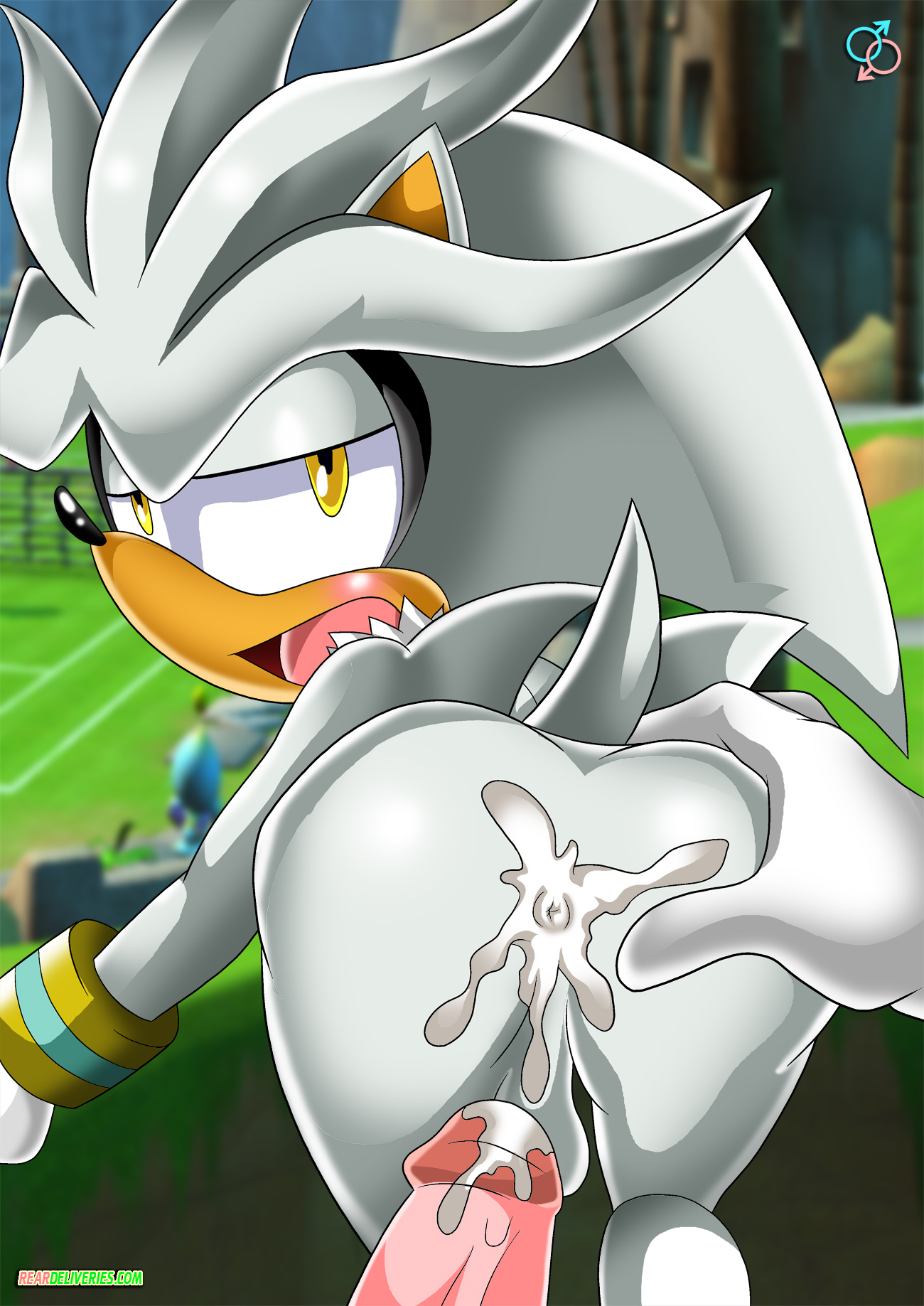 Rule34 – If it exists, there is porn of it / rear deliveries, silver the hedgehog / 536761
