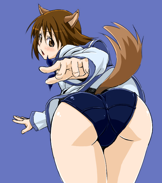 sashisu, miyafuji yoshika, strike witches, world witches series, bad id, bad pixiv id, 1girl, animal ears, ass, blue background, dog ears, dog tail, female focus, looking back, no pants, one-piece swimsuit, school swimsuit, school uniform, serafuku, simple background, solo, swimsuit, swimsuit under clothes, tail