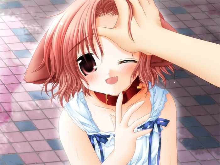 sakurazawa izumi, hinata (pure pure), pure pure, game cg, 1girl, animal ears, blush, child, collar, dog ears, dress, fang, happy, headpat, one eye closed, open mouth, outdoors, pov, red hair, ribbon, ribbon-trimmed shirt, ribbon trim, shirt, short hair, solo focus, sundress, wink