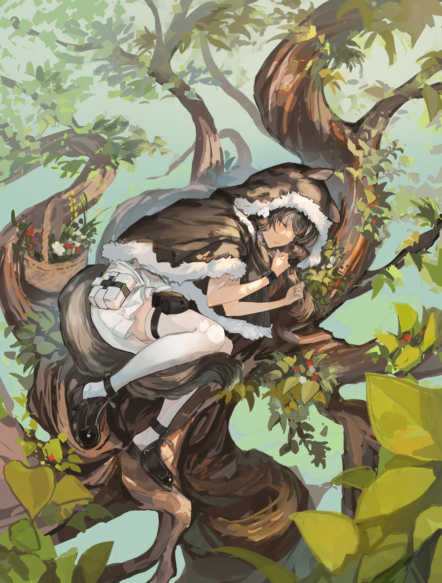 kasumi yuzuha, honeyberry (arknights), infection monitor (arknights), arknights, highres, 1girl, between legs, black shoes, bracelet, brown capelet, brown hair, capelet, closed eyes, day, dress, ears through hood, fetal position, flower basket, full body, fur-trimmed capelet, fur-trimmed hood, fur trim, hood, hood up, hooded capelet, jewelry, long hair, lying, multicolored hair, on side, on tree, outdoors, parted lips, possum ears, possum girl, possum tail, pouch, shoes, short dress, sleeping, solo, streaked hair, tail, tail between legs, thigh pouch, thigh strap, thighhighs, tree, white dress, white hair, white thighhighs, zettai ryouiki