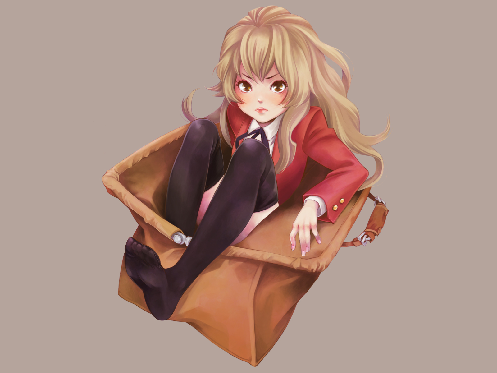 evicom, aisaka taiga, toradora!, bad id, bad pixiv id, highres, bag, brown eyes, brown hair, legs, lips, long hair, school uniform, solo, thighhighs