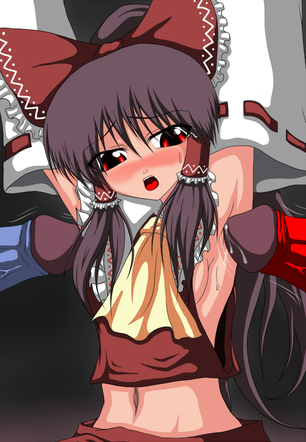 Rule34 – If it exists, there is porn of it / reimu hakurei / 538909