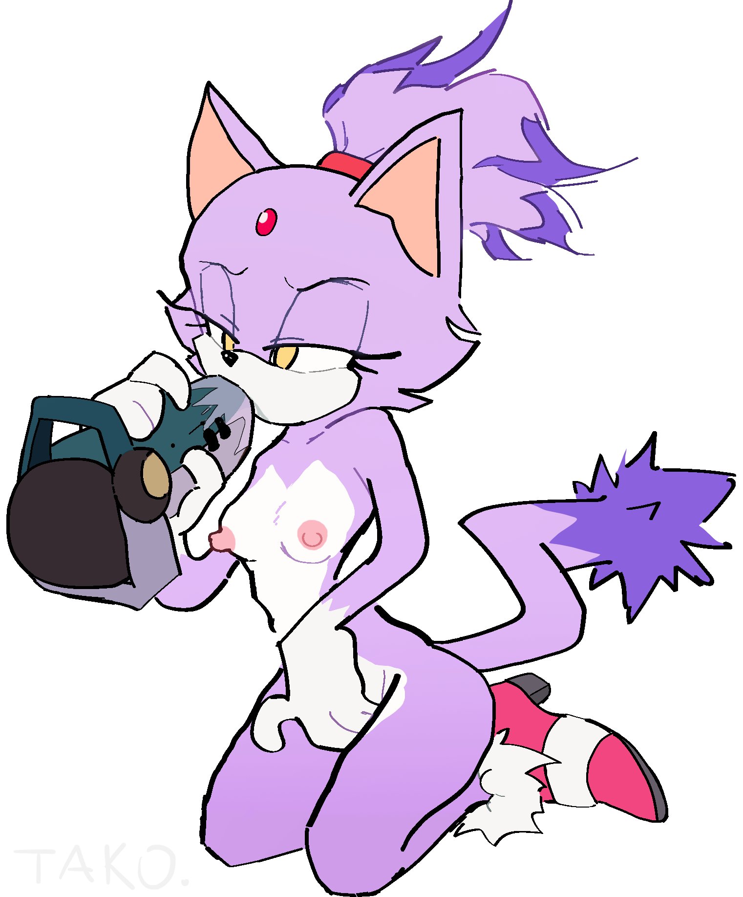 Rule34 – If it exists, there is porn of it / blaze the cat / 10480692