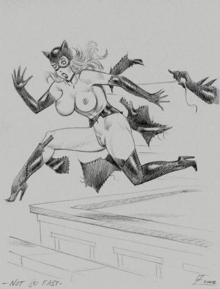 Rule34 – If it exists, there is porn of it / zimmerman, batman, catwoman, selina kyle / 540490