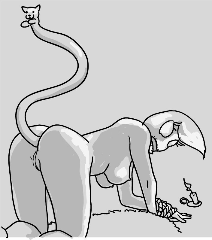 Rule34 – If it exists, there is porn of it / candlejack, freakazoid, longcat / 540732