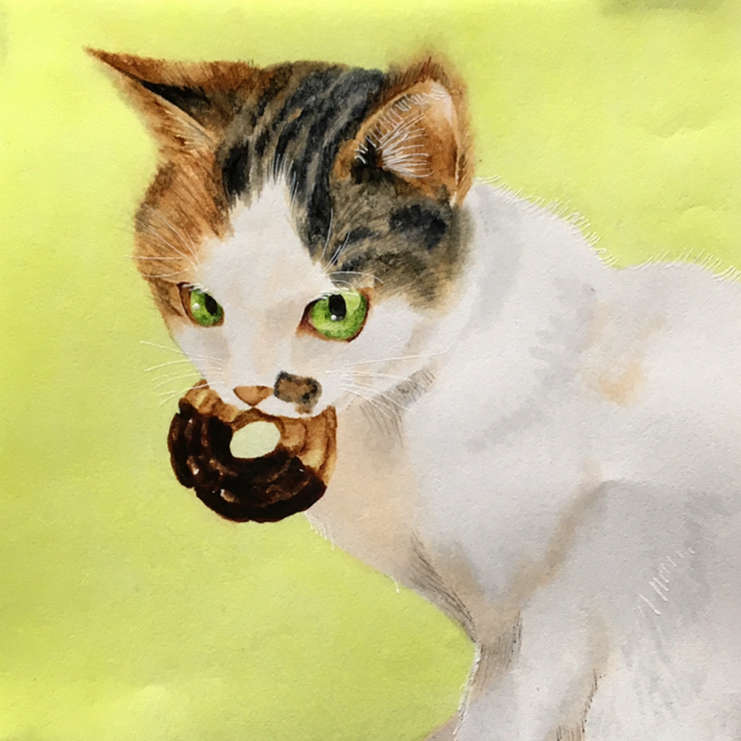 ruchi (nxje5533), original, commentary request, highres, marker (medium), traditional media, animal focus, cat, cookie, eating, food, green background, green eyes, mouth hold, no humans, upper body