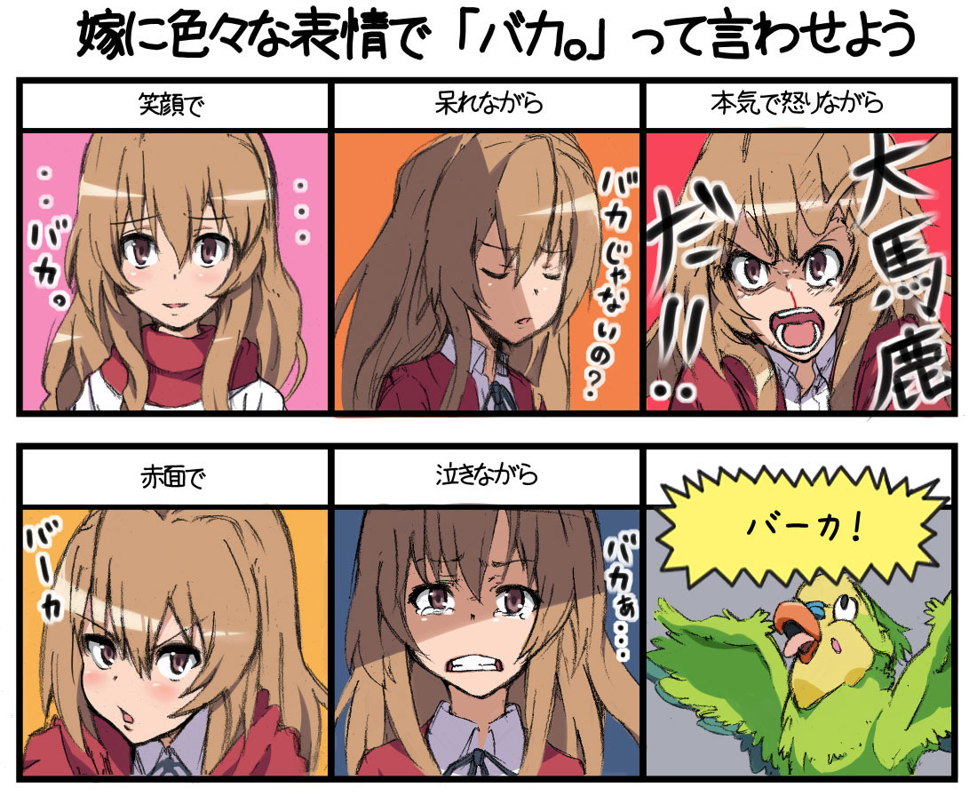 piroshiki, aisaka taiga, inko (toradora), toradora!, bad id, bad pixiv id, translation request, bird, brown eyes, brown hair, chart, long hair, parrot, school uniform