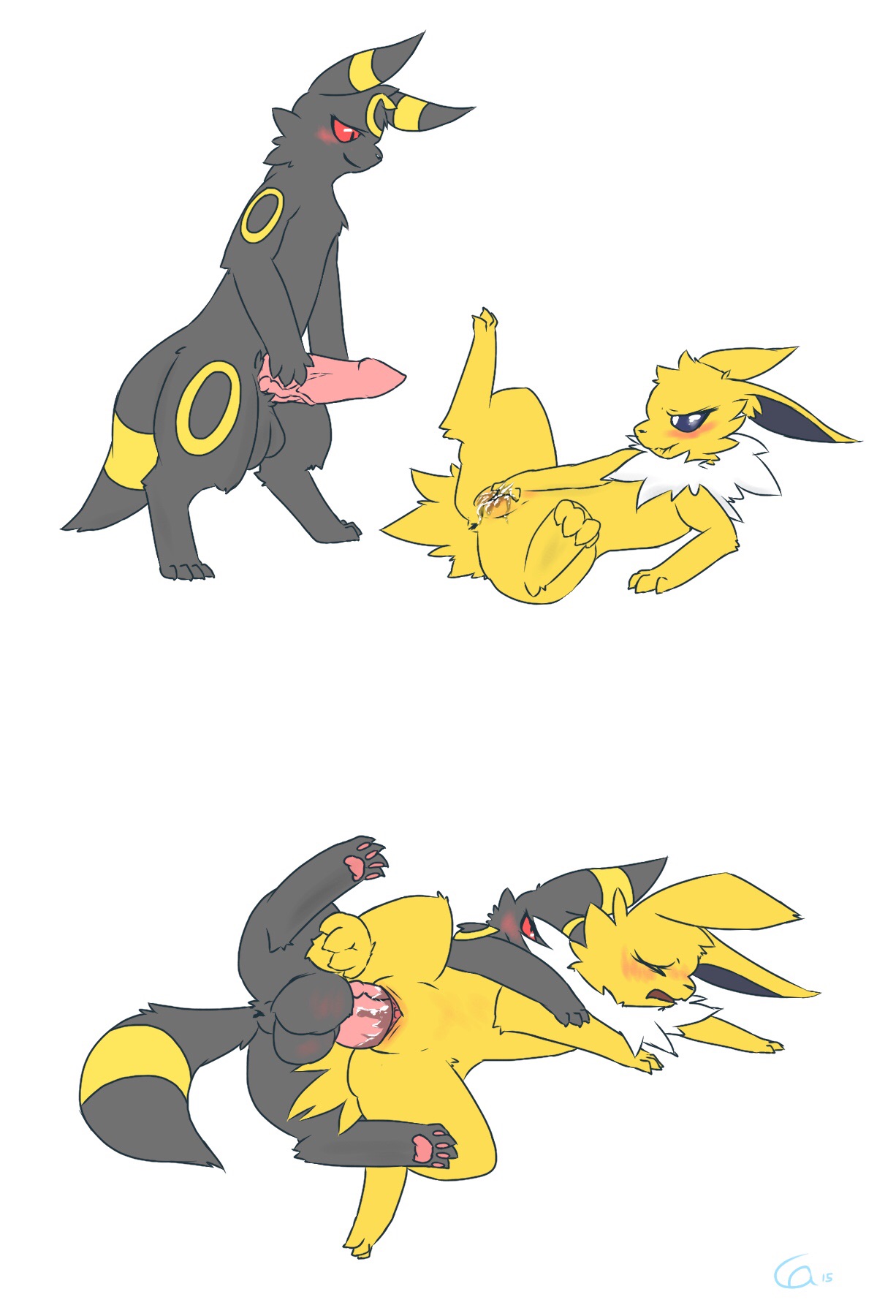 Rule34 – If it exists, there is porn of it / eeveelution, jolteon, umbreon / 547381