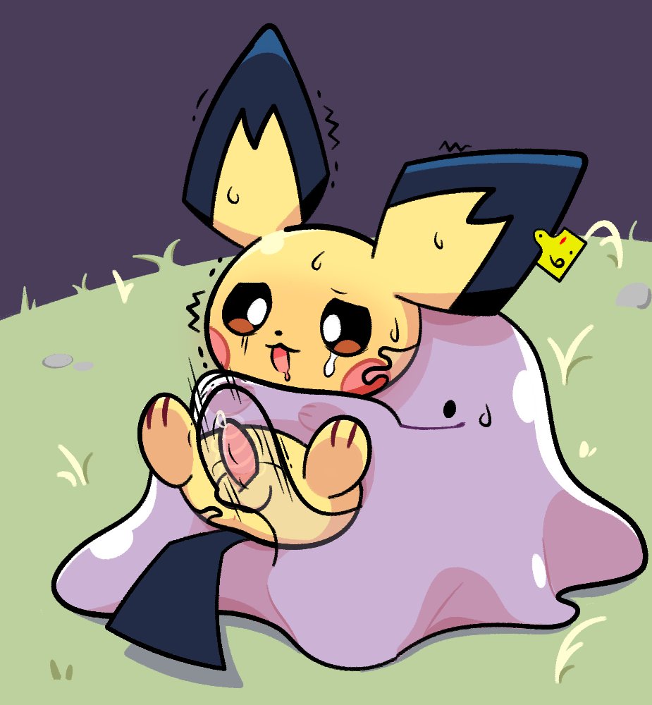 Rule34 – If it exists, there is porn of it / pichu, pokemon (species) / 10623938