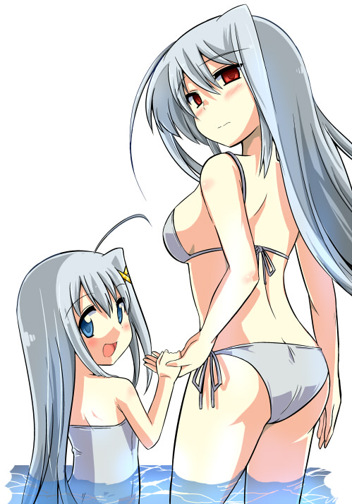 reinforce, reinforce zwei, lyrical nanoha, mahou shoujo lyrical nanoha, mahou shoujo lyrical nanoha a's, mahou shoujo lyrical nanoha strikers, silver hair, artist request, 00s, ass, bikini, blue eyes, dual persona, holding hands, long hair, looking back, one-piece swimsuit, red eyes, swimsuit, time paradox