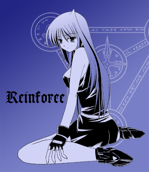 reinforce, lyrical nanoha, mahou shoujo lyrical nanoha, mahou shoujo lyrical nanoha a's, artist request, fingerless gloves, gloves, long hair, solo