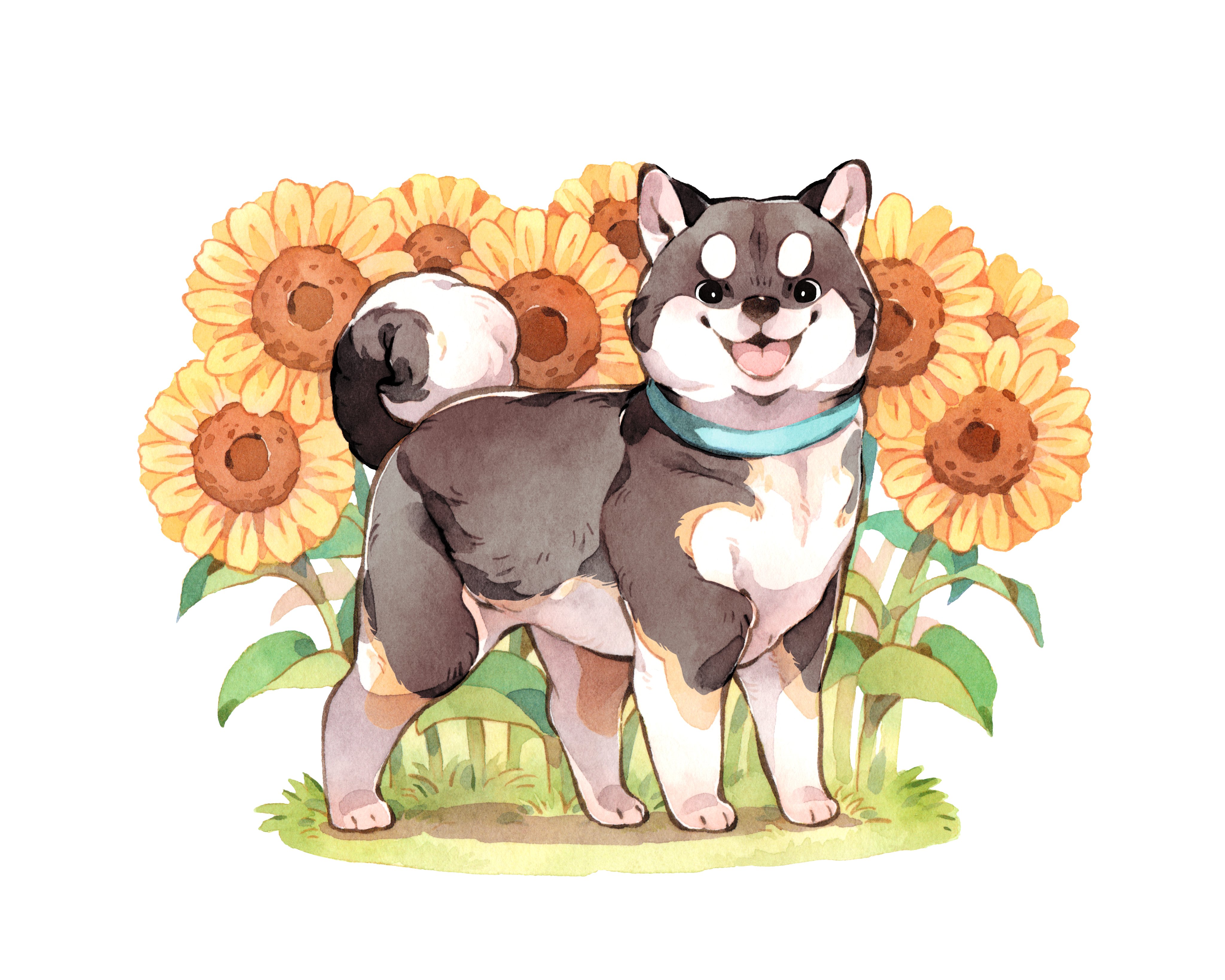 animalk, original, absurdres, chinese commentary, commentary request, highres, painting (medium), traditional media, variant set, watercolor (medium), :3, animal, animal focus, collar, dog, flower, full body, looking at viewer, no humans, shiba inu, standing, sunflower, tongue, tongue out