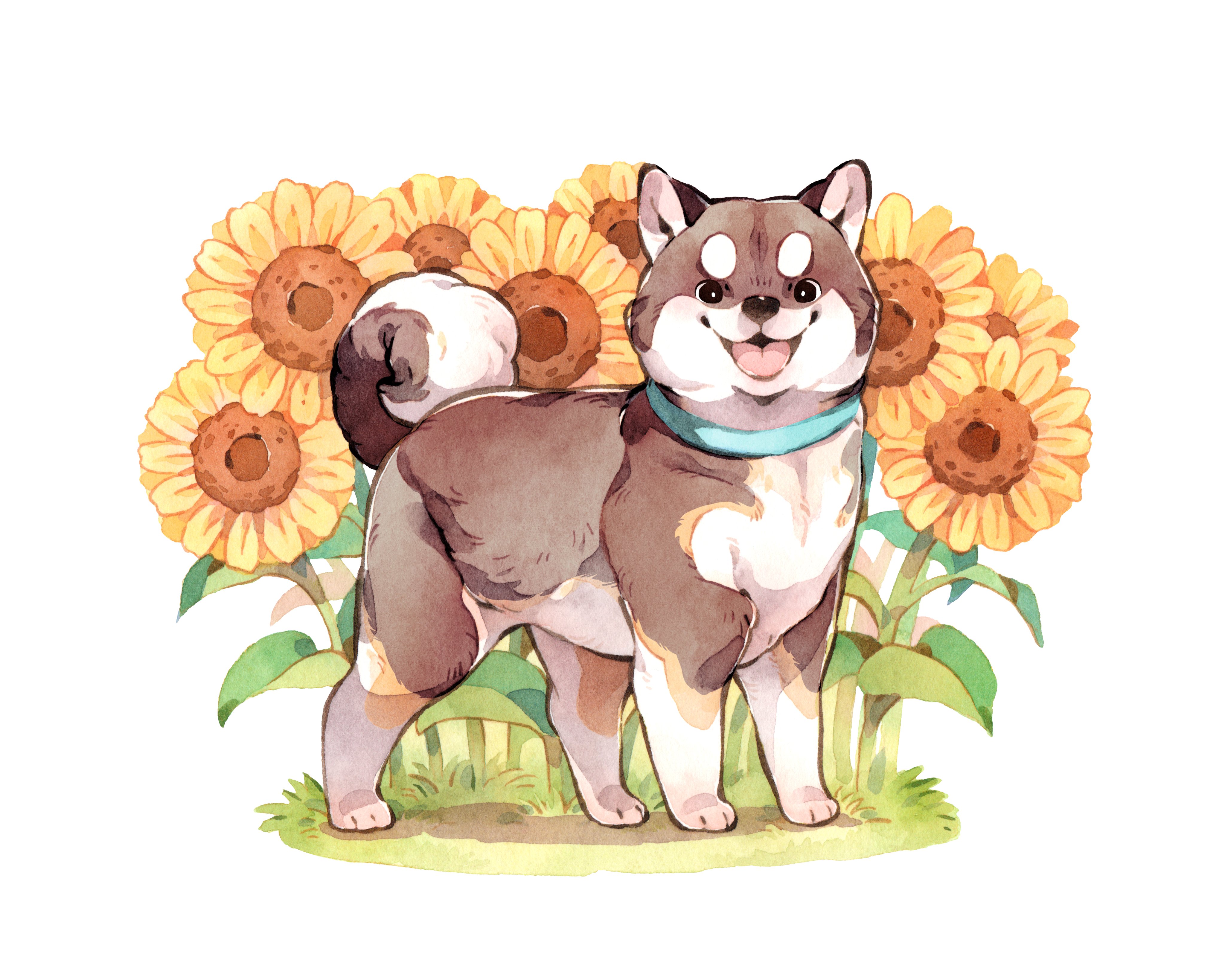 animalk, original, absurdres, chinese commentary, commentary request, highres, painting (medium), traditional media, variant set, watercolor (medium), :3, animal, animal focus, collar, dog, flower, full body, looking at viewer, no humans, shiba inu, standing, sunflower, tongue, tongue out