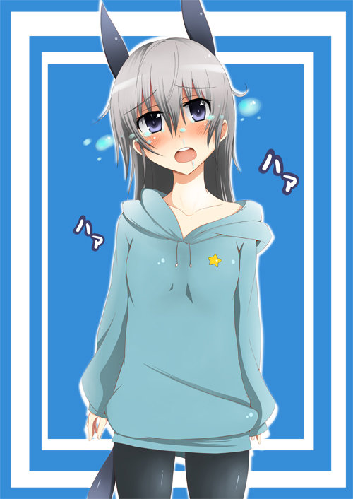 rosettastone, eila ilmatar juutilainen, strike witches, world witches series, silver hair, bad id, bad pixiv id, 1girl, animal ears, black pantyhose, blue eyes, blush, female focus, hood, hoodie, off shoulder, official alternate costume, pantyhose, solo, tail