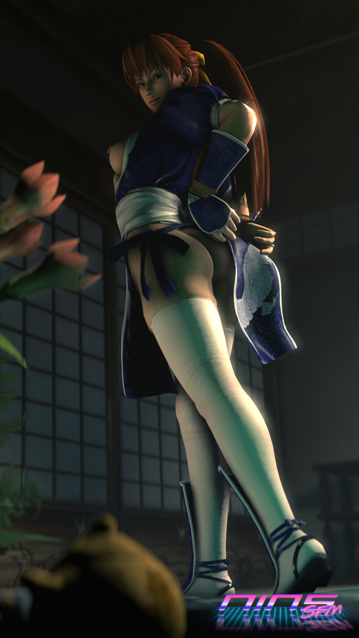 Rule34 – If it exists, there is porn of it / ninssfm, kasumi / 553135