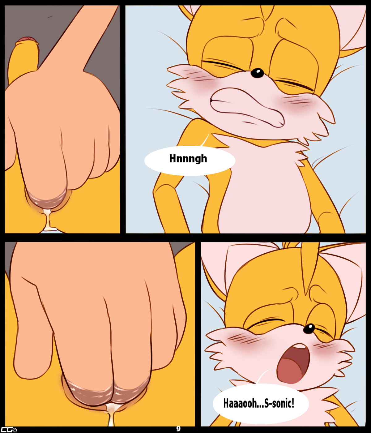 Rule34 – If it exists, there is porn of it / crazedg, sonic the hedgehog, tails / 555269