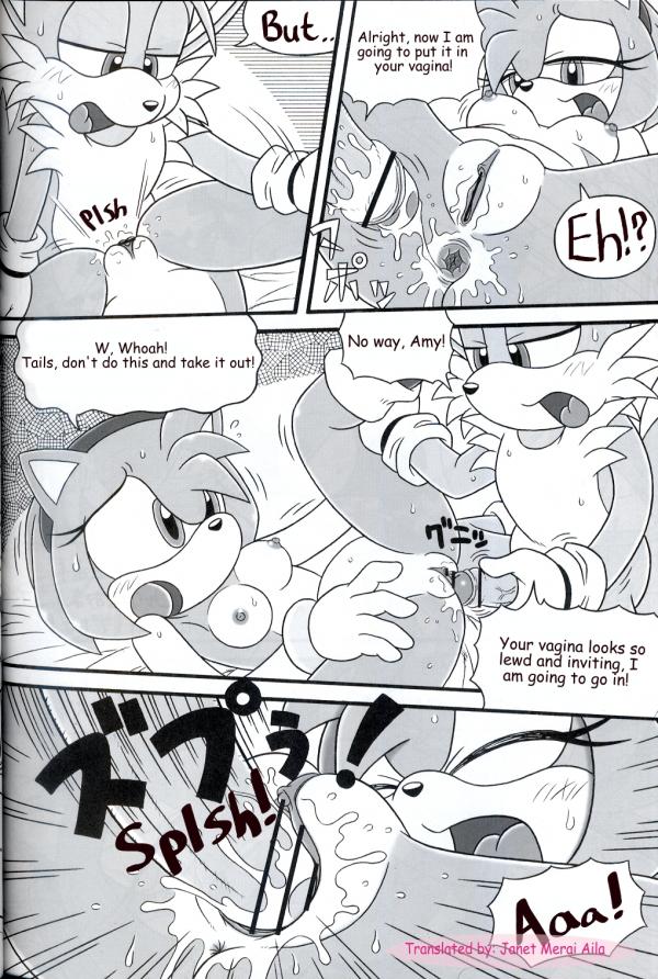 Rule34 – If it exists, there is porn of it / mitsuharu takura, amy rose, sonic the hedgehog, tails / 556758
