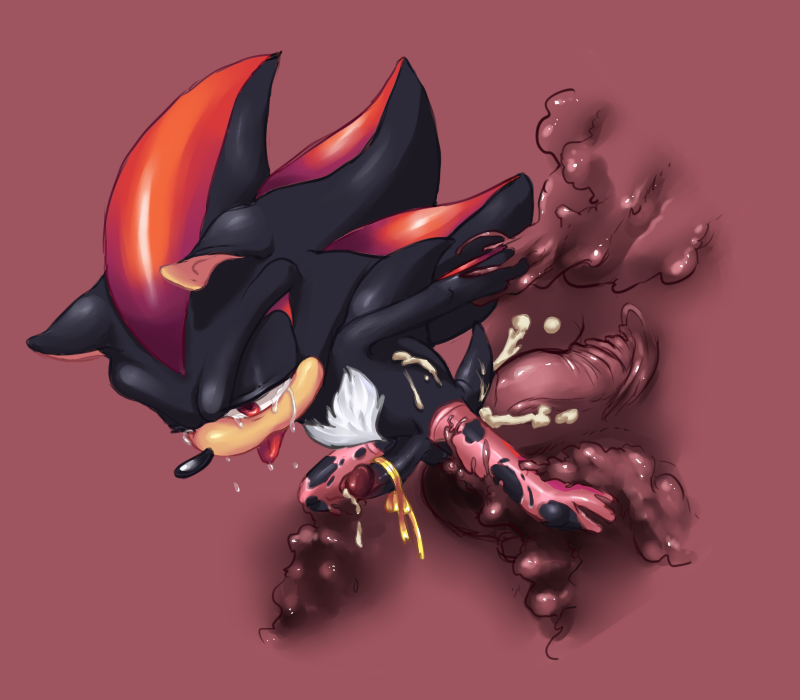Rule34 – If it exists, there is porn of it / orba, shadow the hedgehog / 558258