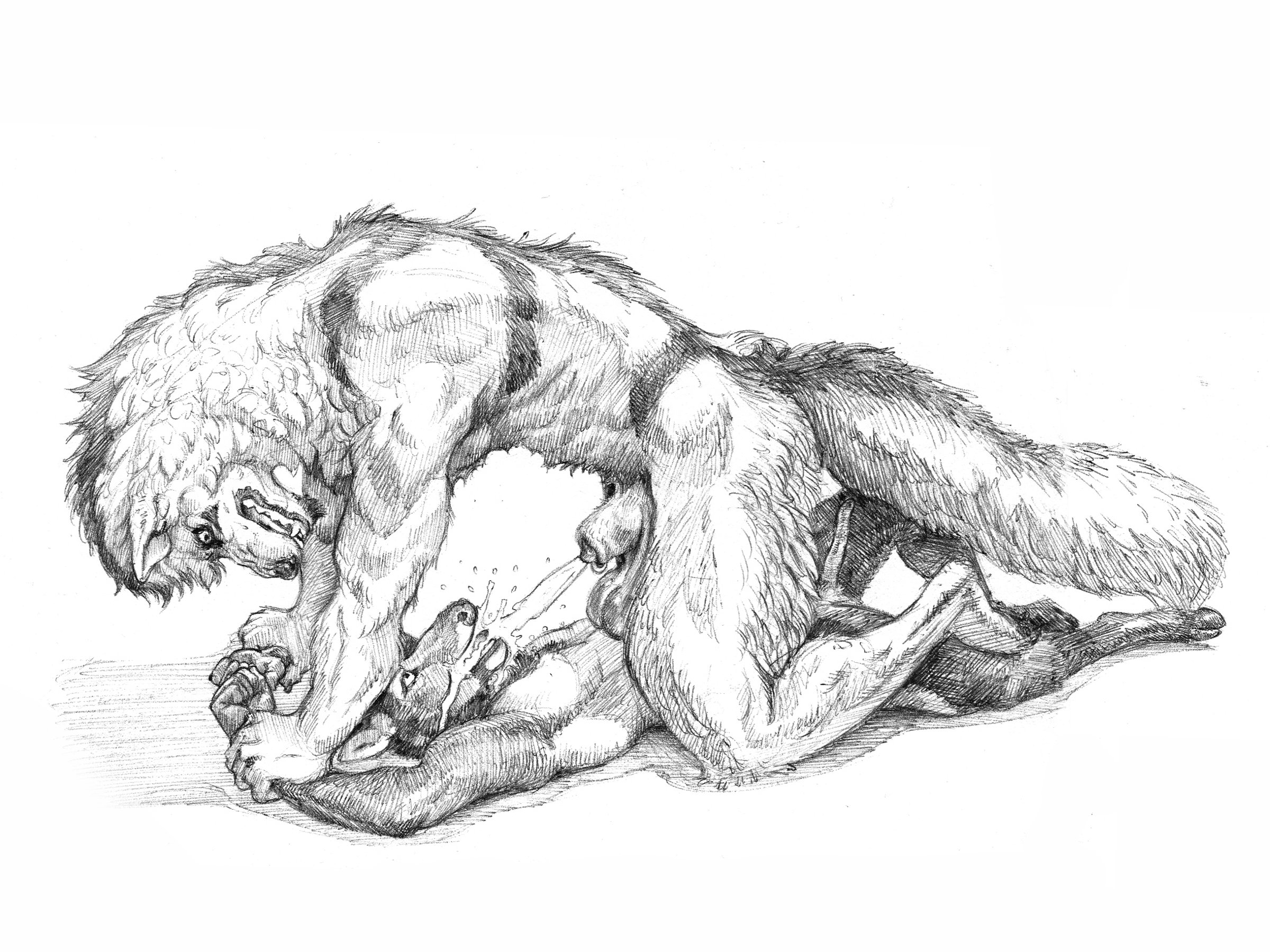 Rule34 – If it exists, there is porn of it / karlos / 10766908