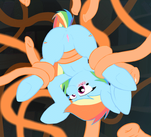 Rule34 – If it exists, there is porn of it / rainbow dash (mlp) / 558940