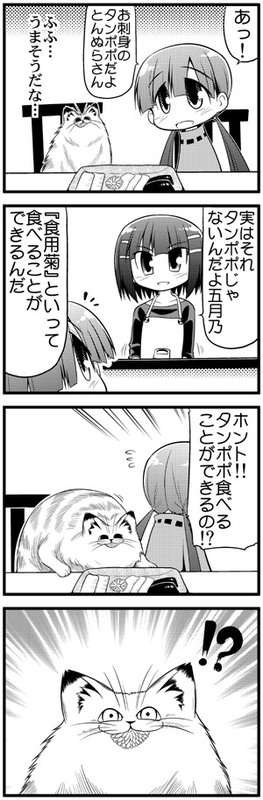 serebi ryousangata, ichinose ichino, ichinose satsukino, tonnura, tonnura-san, bad id, bad pixiv id, long image, official art, tall image, translation request, !?, 2girls, 4koma, apron, cat, comic, flower, greyscale, hair ornament, hairclip, monochrome, multiple girls, twintails