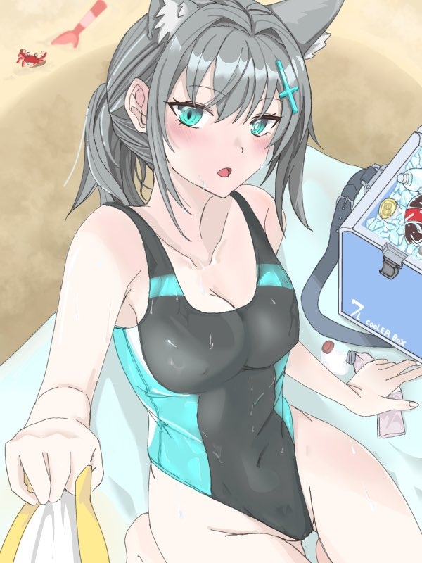 barusa miko, shiroko (blue archive), shiroko (swimsuit) (blue archive), blue archive, commentary request, 1girl, animal ear fluff, animal ears, black one-piece swimsuit, blue eyes, breasts, competition swimsuit, cooler, covered navel, cross hair ornament, dragging, extra ears, grey hair, hair ornament, halo, low ponytail, medium breasts, medium hair, mismatched pupils, multicolored swimsuit, official alternate costume, one-piece swimsuit, ponytail, pov, solo, swimsuit, wolf ears