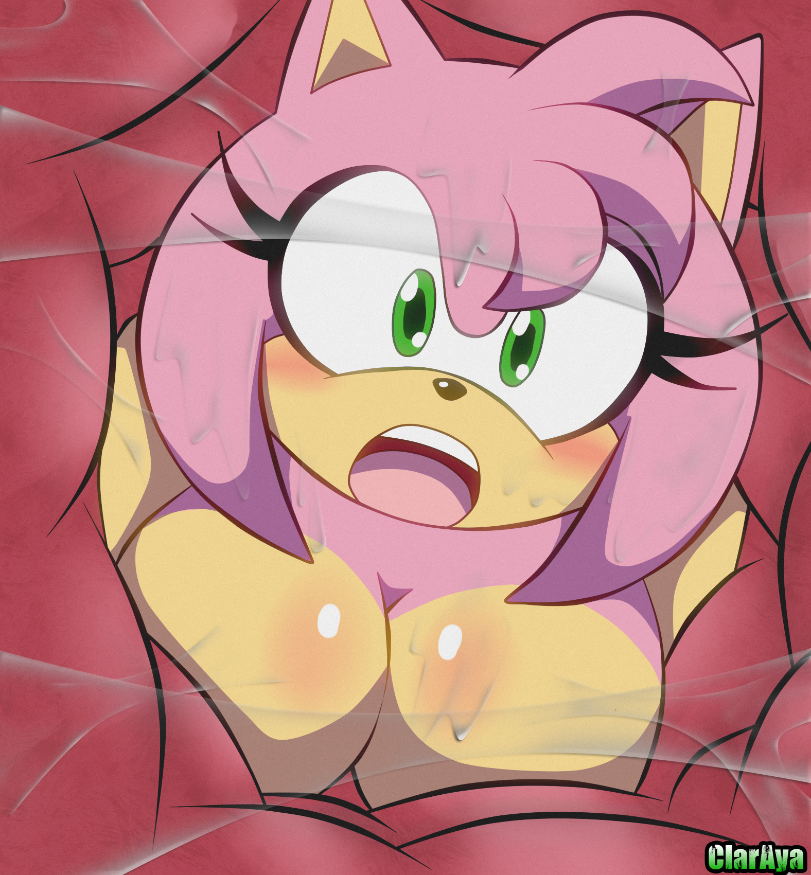 Rule34 – If it exists, there is porn of it / amy rose / 10794103