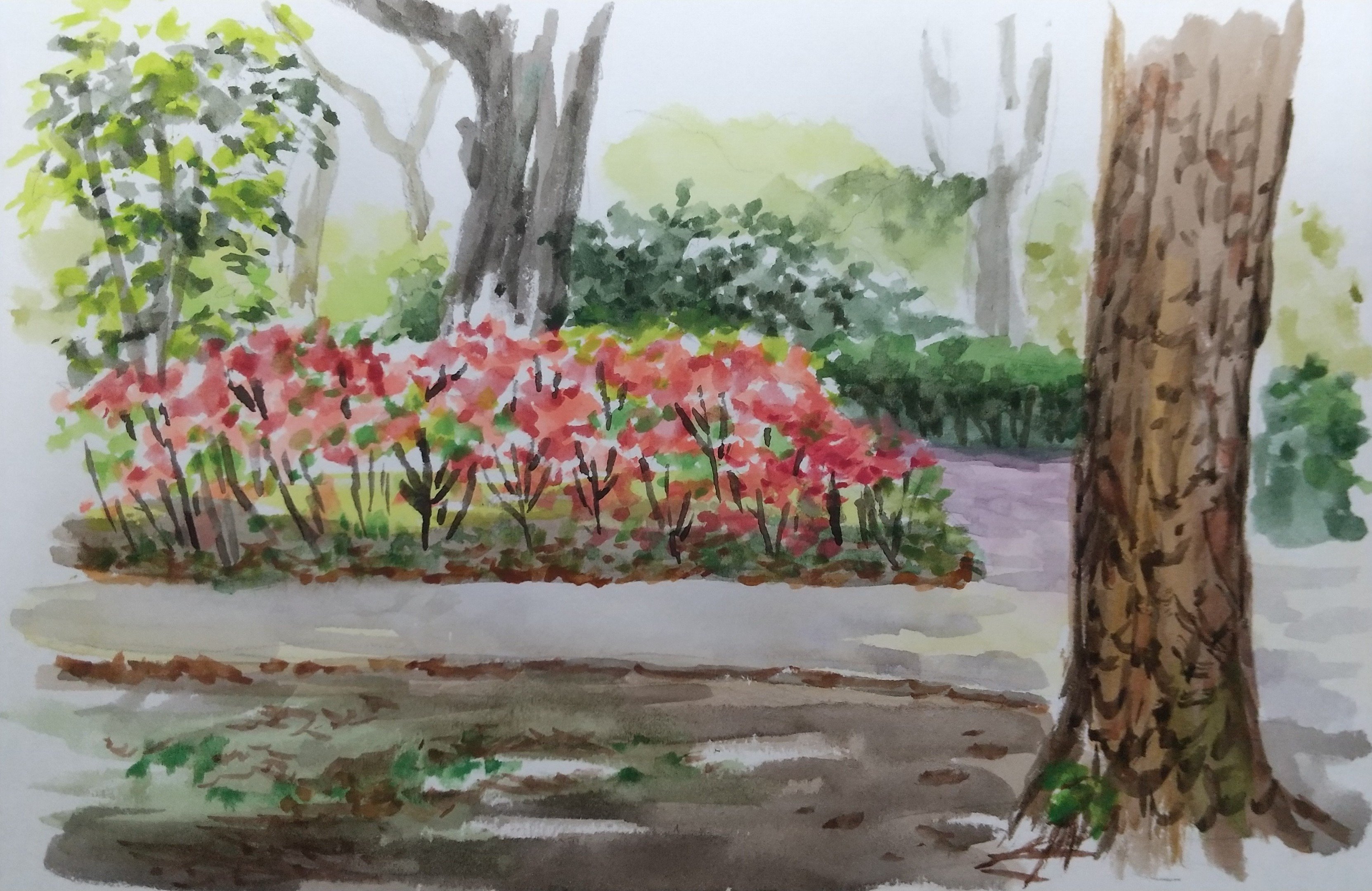 harusa1107, original, absurdres, commentary request, highres, painting (medium), traditional media, unfinished, watercolor (medium), bush, day, flower, no humans, park, path, plant, red flower, road, scenery, sketch, tree
