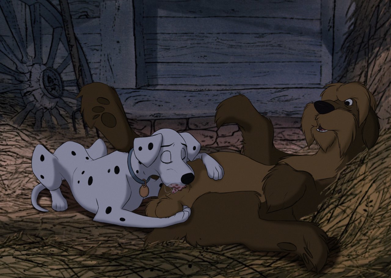 Rule34 – If it exists, there is porn of it / the giant hamster, colonel / 562509