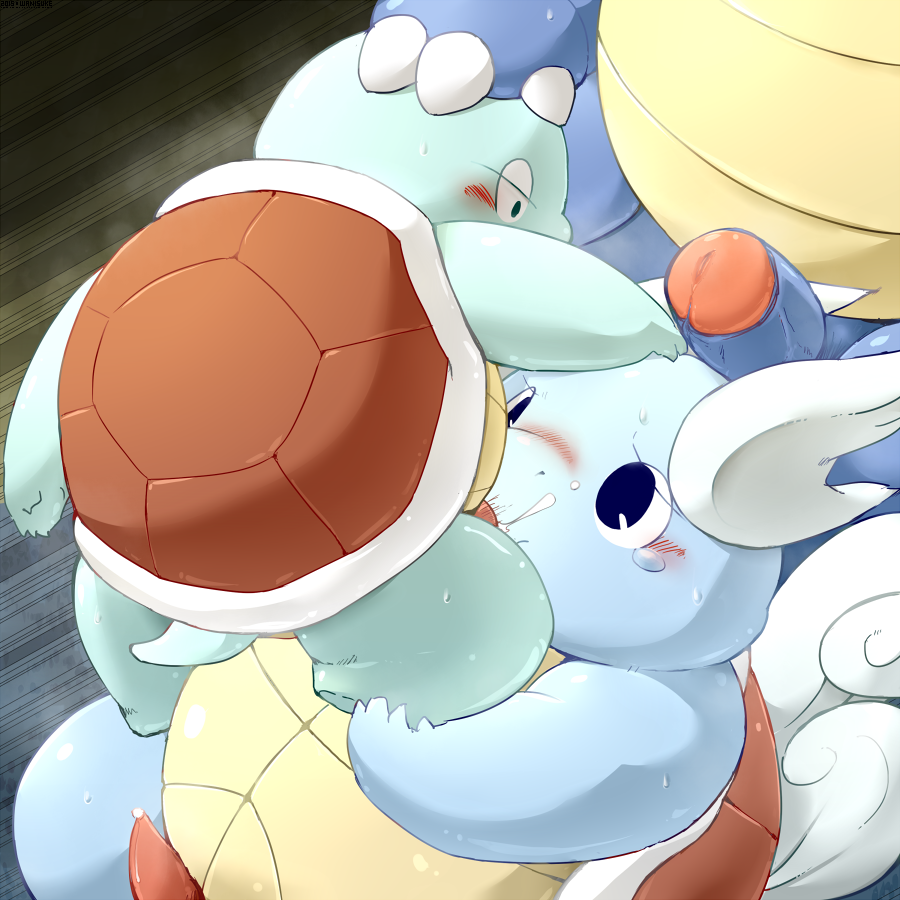 Rule34 – If it exists, there is porn of it / wanisuke, blastoise, squirtle, wartortle / 562861