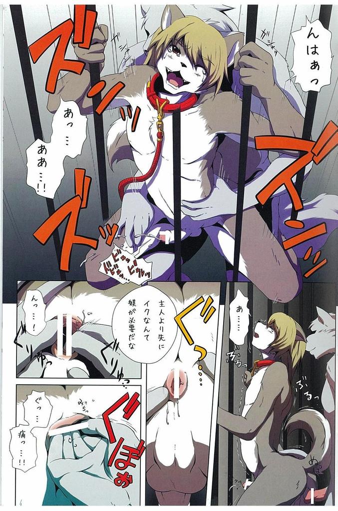 Rule34 – If it exists, there is porn of it / miga / 563957