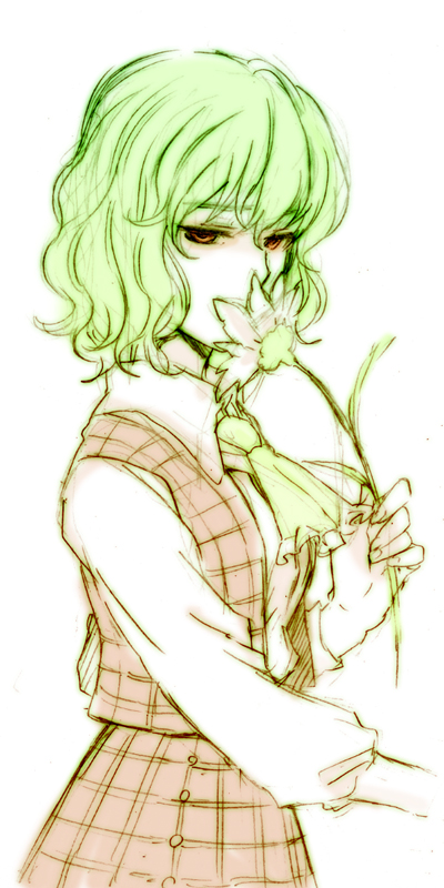 tsun (tsuncha), tsuncha, kazami yuuka, touhou, bad id, bad pixiv id, 1girl, ascot, female focus, flower, green hair, holding, plaid clothes, plaid skirt, plaid vest, short hair, sketch, skirt, skirt set, smelling, solo, vest