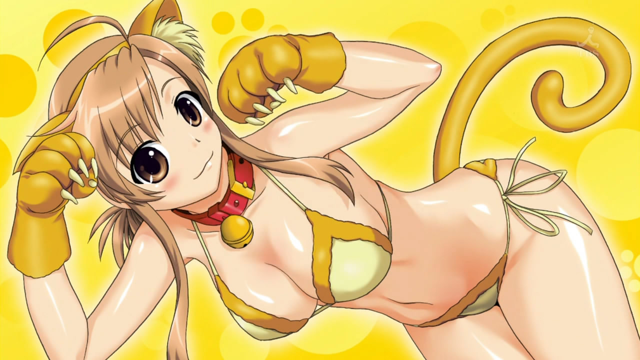 mizuno kaede, nyan koi!, 00s, 1girl, animal ears, animal hands, bell, bikini, blush, breasts, brown eyes, cleavage, collar, female focus, leash, side-tie bikini bottom, smile, solo, swimsuit, tail